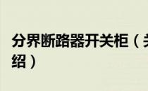 分界断路器开关柜（关于分界断路器开关柜介绍）