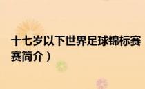 十七岁以下世界足球锦标赛（关于十七岁以下世界足球锦标赛简介）