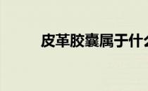 皮革胶囊属于什么药（皮革胶囊）