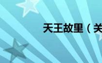 天王故里（关于天王故里）