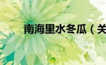 南海里水冬瓜（关于南海里水冬瓜）