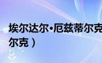 埃尔达尔·厄兹蒂尔克（关于埃尔达尔·厄兹蒂尔克）