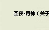 圣夜·月神（关于圣夜·月神简介）