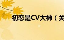 初恋是CV大神（关于初恋是CV大神）