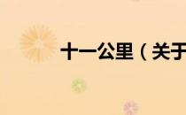 十一公里（关于十一公里简介）