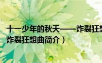 十一少年的秋天——炸裂狂想曲（关于十一少年的秋天——炸裂狂想曲简介）