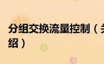 分组交换流量控制（关于分组交换流量控制介绍）