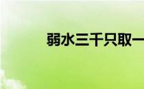 弱水三千只取一瓢（弱水三千）