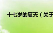 十七岁的夏天（关于十七岁的夏天简介）