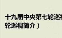 十九届中央第七轮巡视（关于十九届中央第七轮巡视简介）