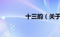 十三韵（关于十三韵简介）