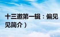 十三邀第一辑：偏见（关于十三邀第一辑：偏见简介）