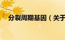 分裂周期基因（关于分裂周期基因介绍）