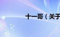 十一哥（关于十一哥简介）