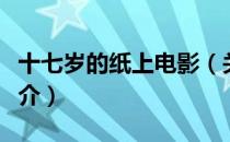 十七岁的纸上电影（关于十七岁的纸上电影简介）