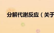 分解代谢反应（关于分解代谢反应介绍）