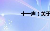 十一声（关于十一声简介）
