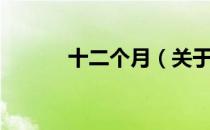 十二个月（关于十二个月简介）