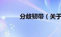 分歧韧带（关于分歧韧带介绍）