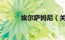 埃尔萨姆尼（关于埃尔萨姆尼）