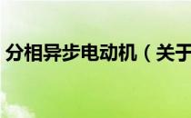 分相异步电动机（关于分相异步电动机介绍）