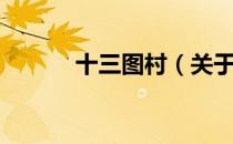 十三图村（关于十三图村简介）