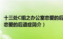 十三处C组之办公室恋爱的后遗症（关于十三处C组之办公室恋爱的后遗症简介）