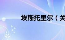 埃斯托里尔（关于埃斯托里尔）