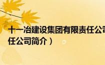十一冶建设集团有限责任公司（关于十一冶建设集团有限责任公司简介）