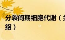 分裂间期细胞代谢（关于分裂间期细胞代谢介绍）
