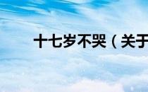 十七岁不哭（关于十七岁不哭简介）