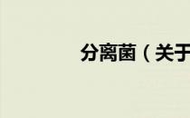 分离菌（关于分离菌介绍）