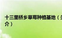 十三里桥乡草莓种植基地（关于十三里桥乡草莓种植基地简介）