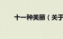 十一种美丽（关于十一种美丽简介）