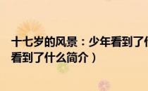 十七岁的风景：少年看到了什么（关于十七岁的风景：少年看到了什么简介）