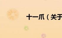 十一爪（关于十一爪简介）