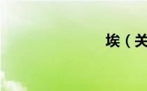 埃（关于埃）