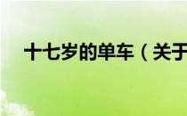 十七岁的单车（关于十七岁的单车简介）
