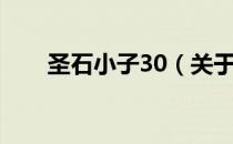圣石小子30（关于圣石小子30简介）
