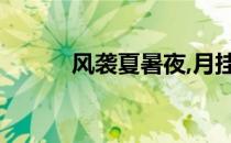 风袭夏暑夜,月挂碧树梢（风袭）