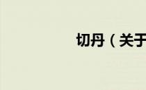 切丹（关于切丹介绍）