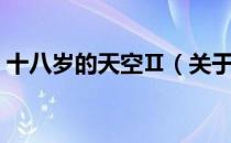 十八岁的天空Ⅱ（关于十八岁的天空Ⅱ简介）