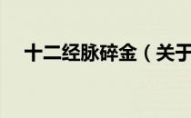 十二经脉碎金（关于十二经脉碎金简介）