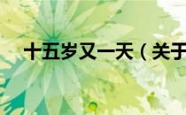 十五岁又一天（关于十五岁又一天简介）