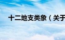 十二地支类象（关于十二地支类象简介）