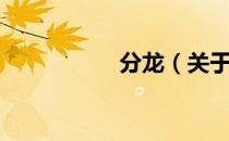 分龙（关于分龙介绍）