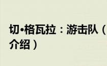 切·格瓦拉：游击队（关于切·格瓦拉：游击队介绍）