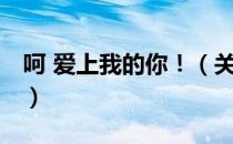 呵 爱上我的你！（关于呵 爱上我的你！介绍）