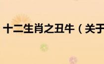 十二生肖之丑牛（关于十二生肖之丑牛简介）