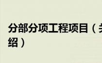 分部分项工程项目（关于分部分项工程项目介绍）